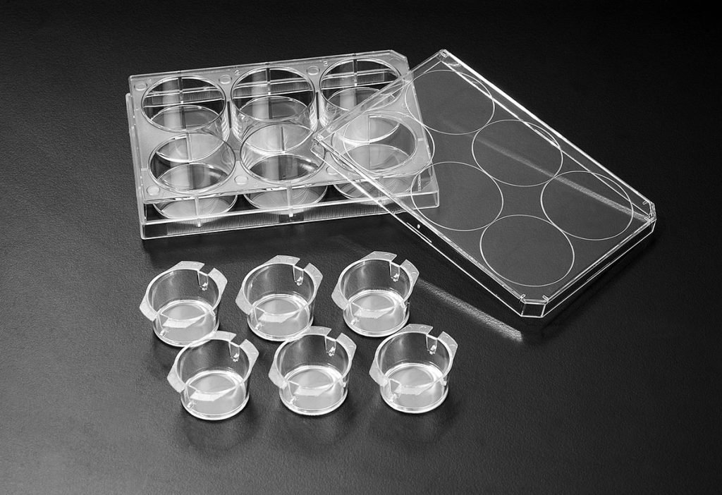 Cell Culture Inserts (Hanging and Standing) - Scientity Services